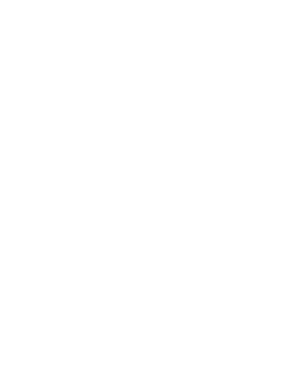 logotyp UDT